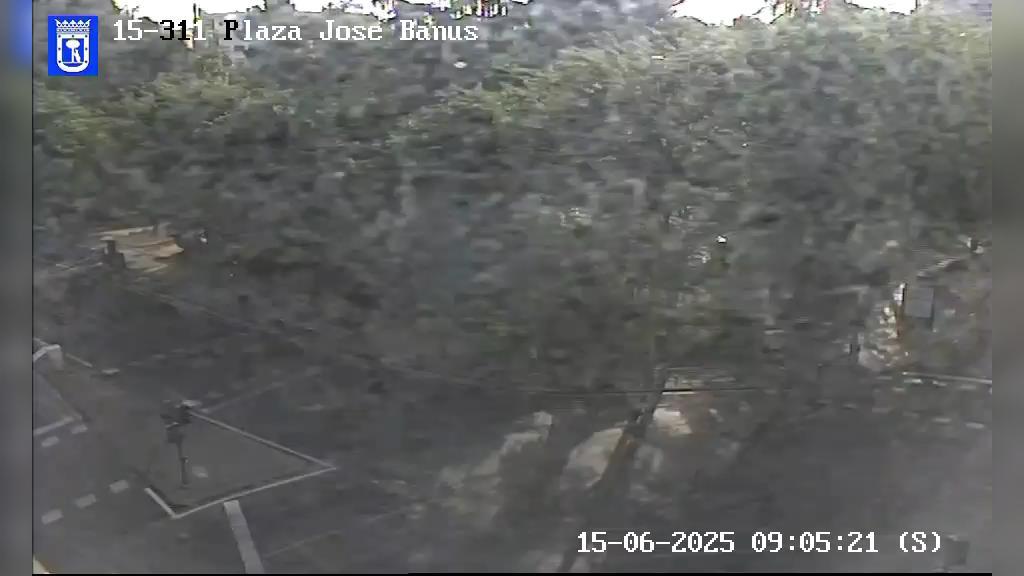 Traffic Watch: Plaza Jose Banus Webcam