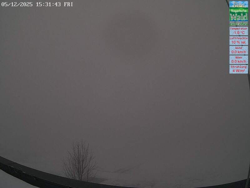 Gleissenberg forest Webcam