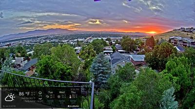 Capitol Hill Landscape