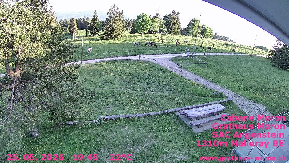Valbirse › Süden: Cabane du Moron