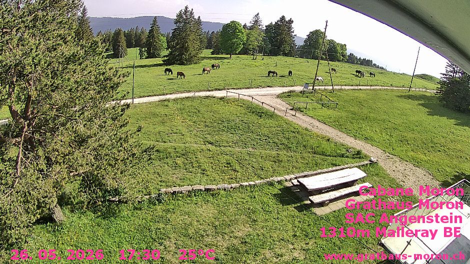 Valbirse › Süden: Cabane du Moron