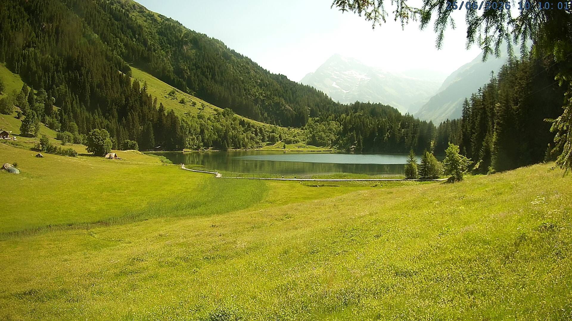 Silenen: Golzern