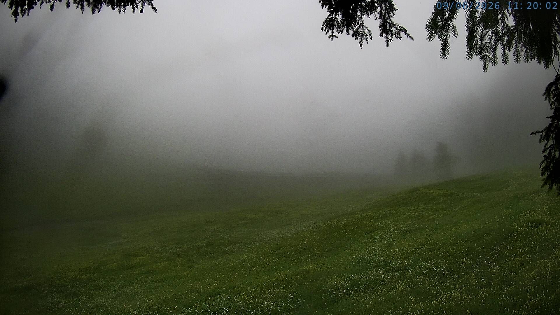 Silenen: Golzern