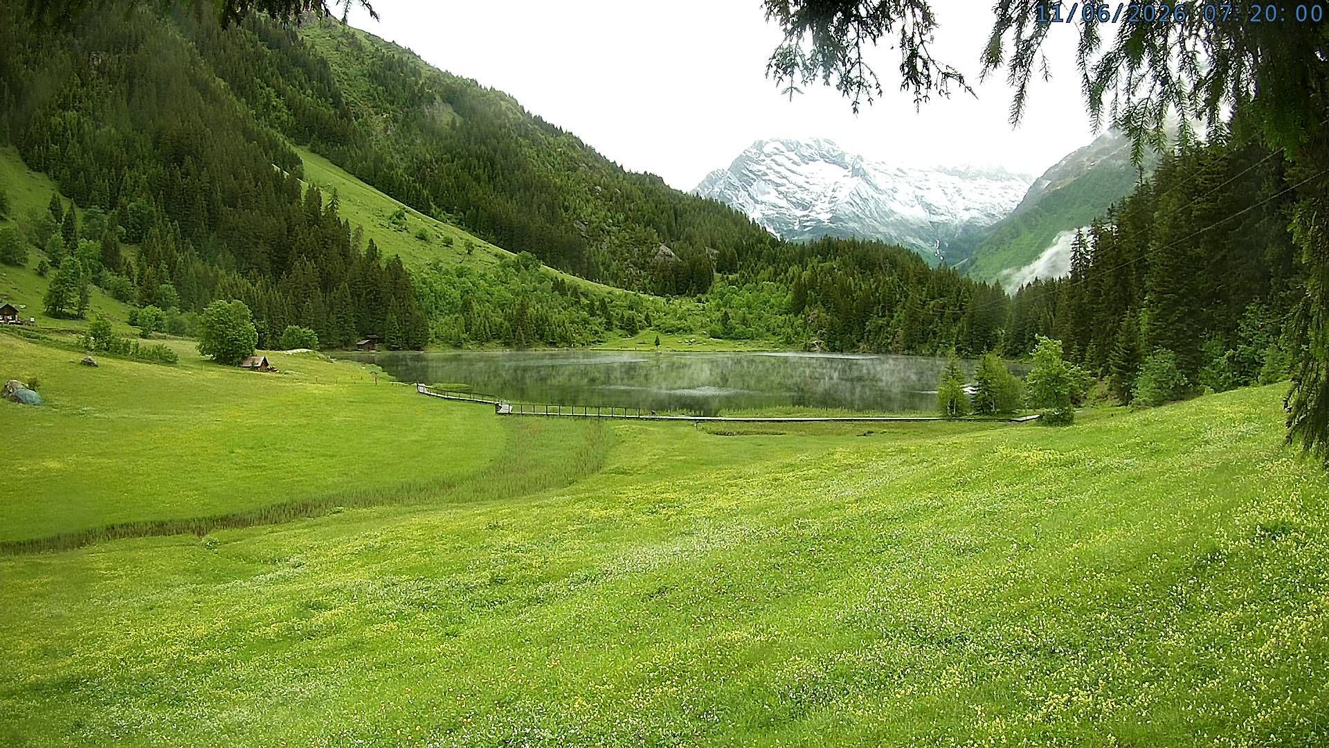 Silenen: Golzern