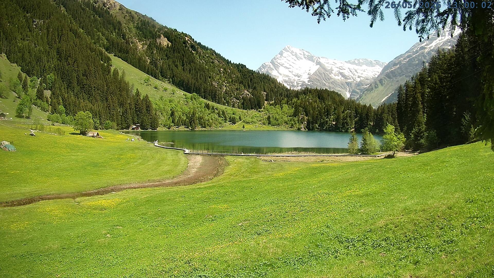 Silenen: Golzern