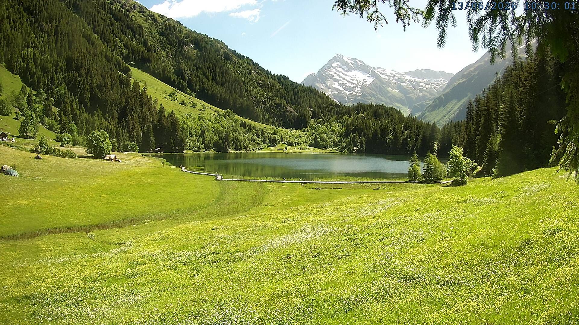 Silenen: Golzern