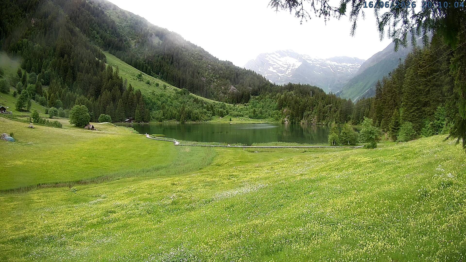 Silenen: Golzern
