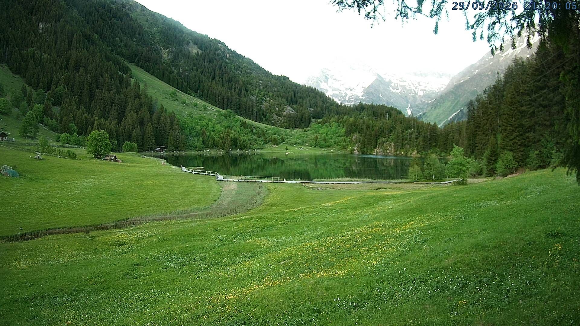 Silenen: Golzern