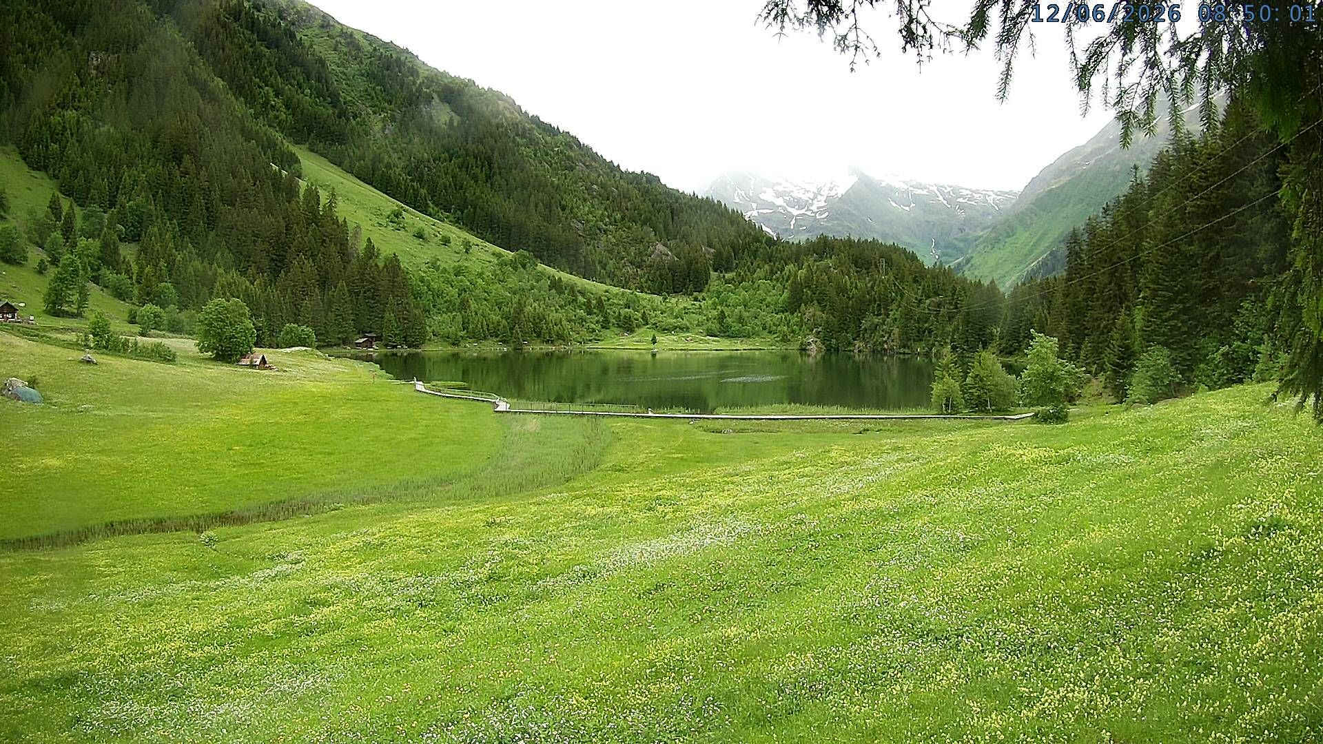 Silenen: Golzern