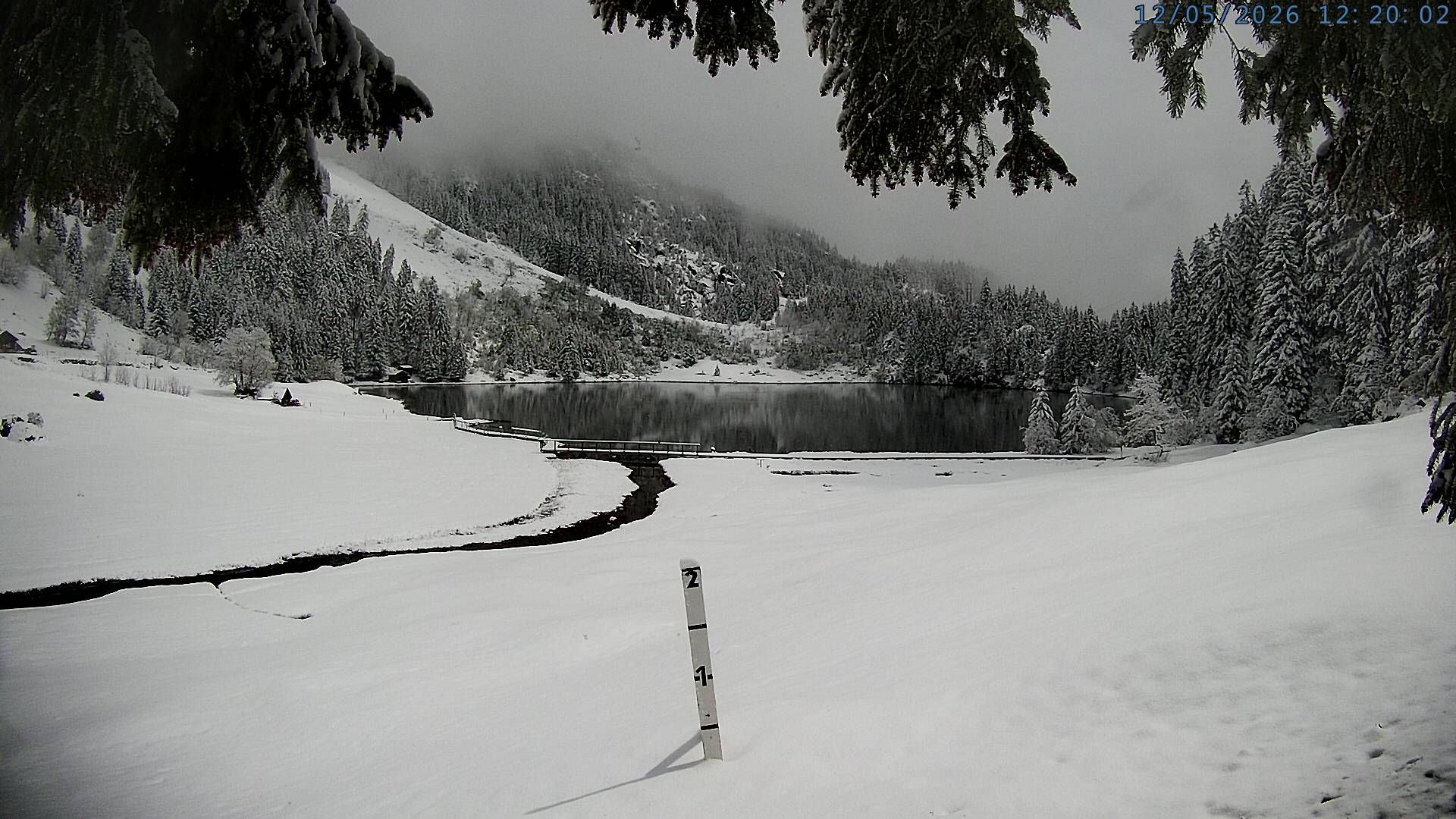 Silenen: Golzern