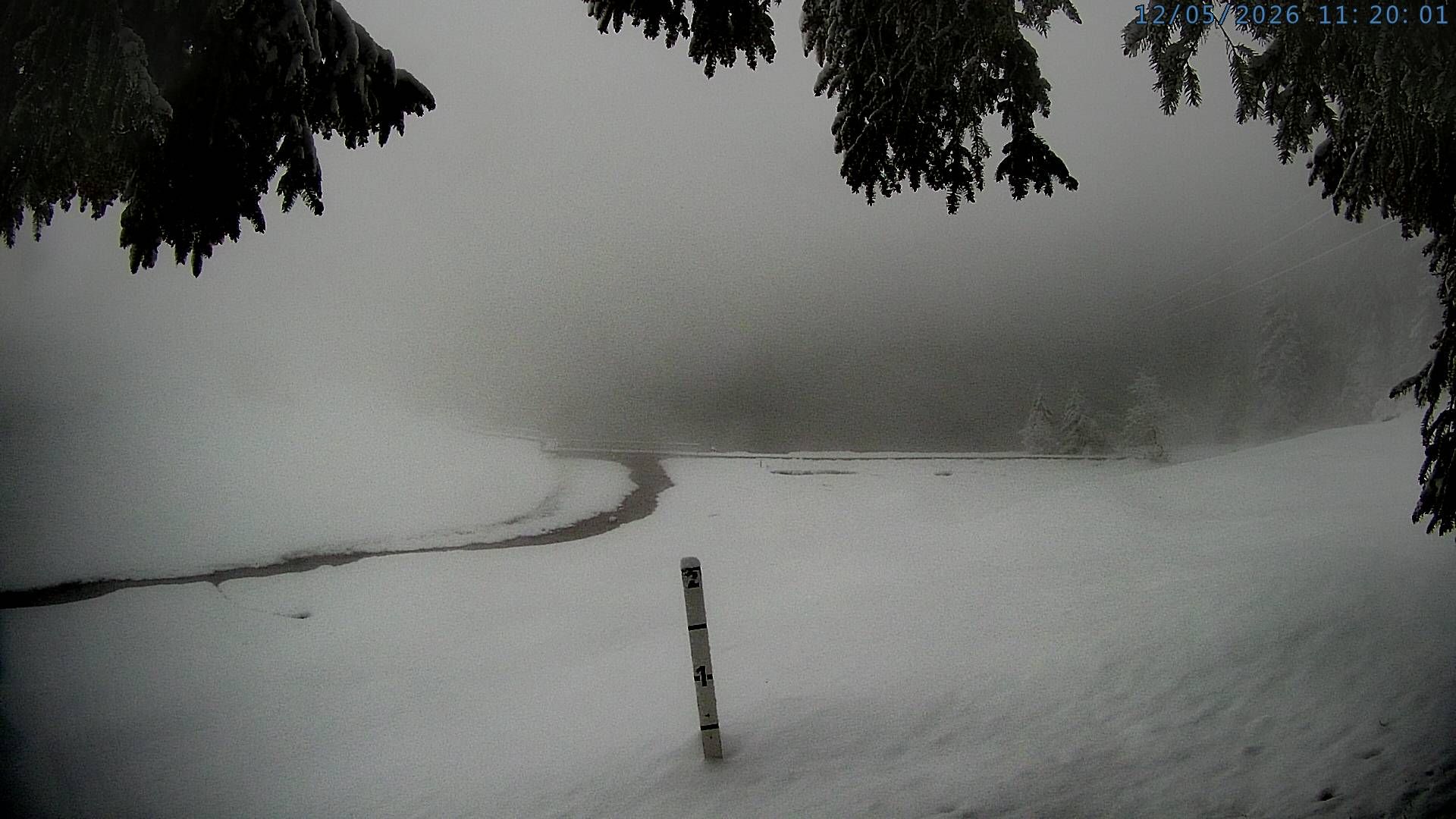 Silenen: Golzern