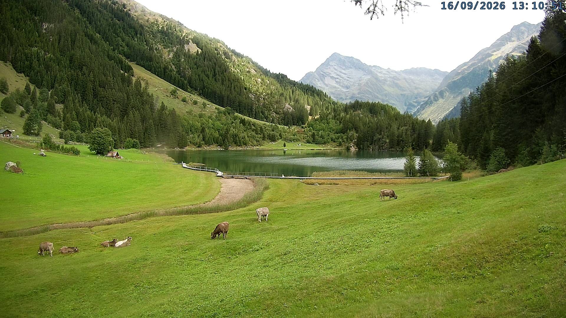 Silenen › Osten: Golzerensee - Gross Düssi / Piz Git