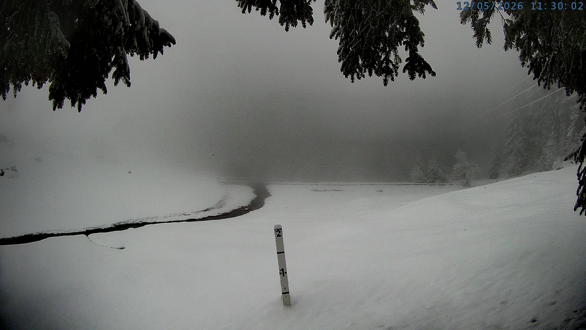 Silenen: Golzern