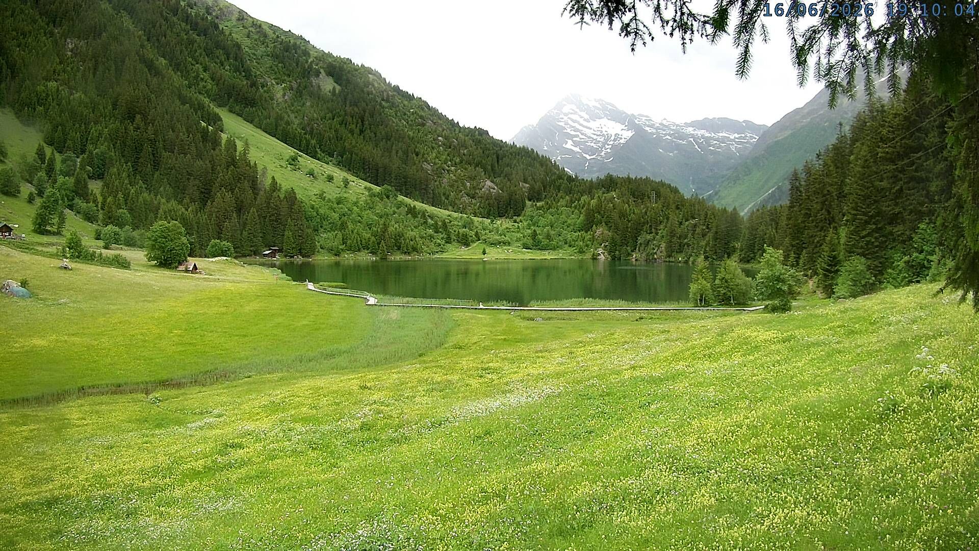 Silenen: Golzern