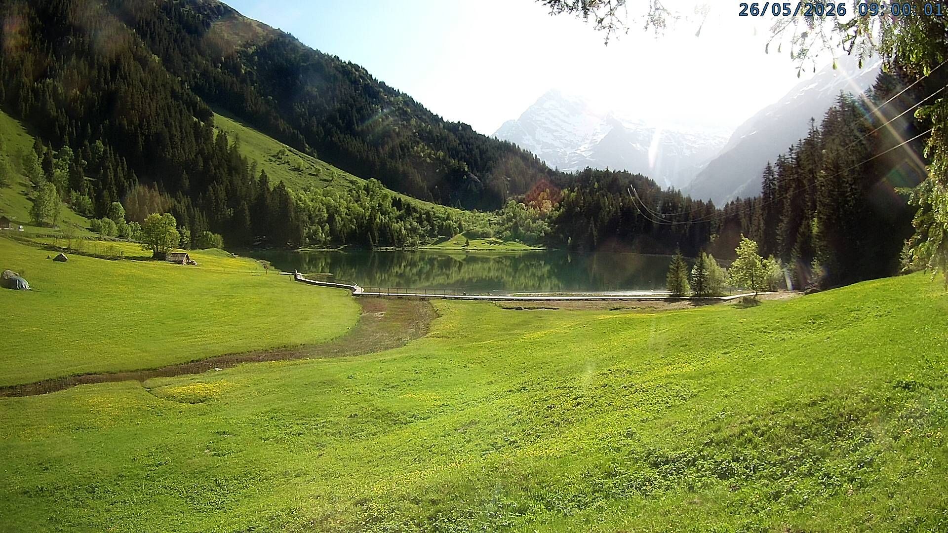 Silenen: Golzern