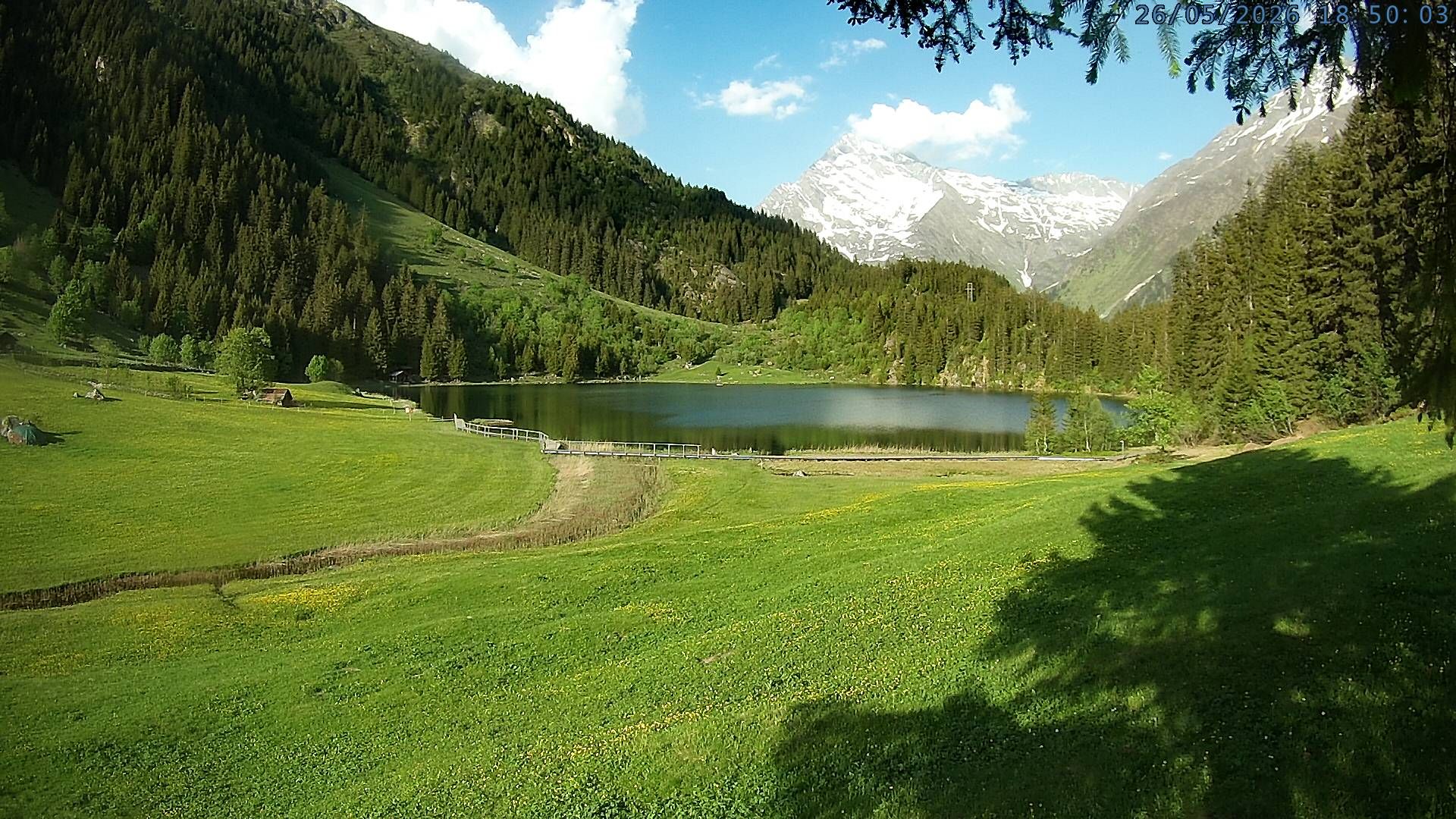 Silenen: Golzern
