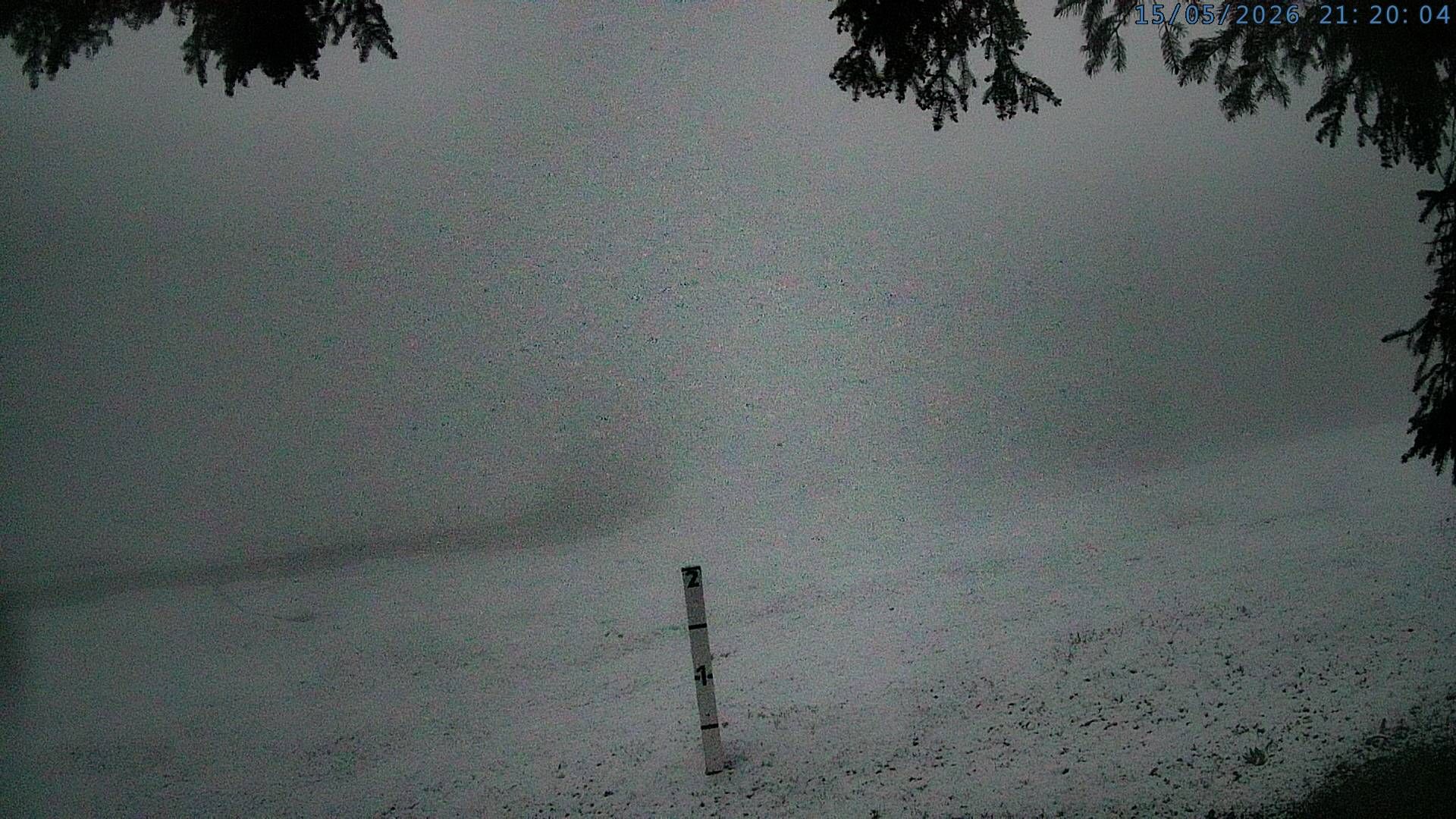 Silenen: Golzern
