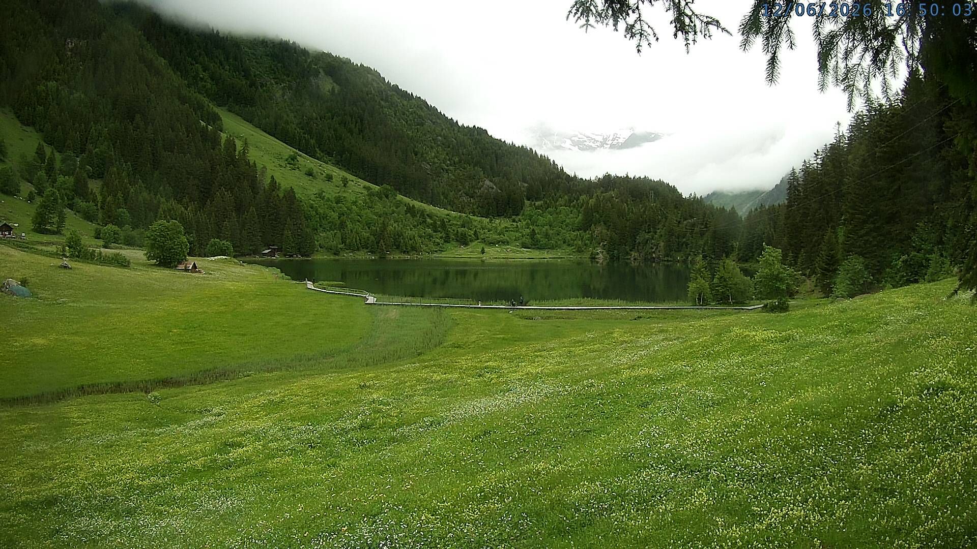Silenen: Golzern