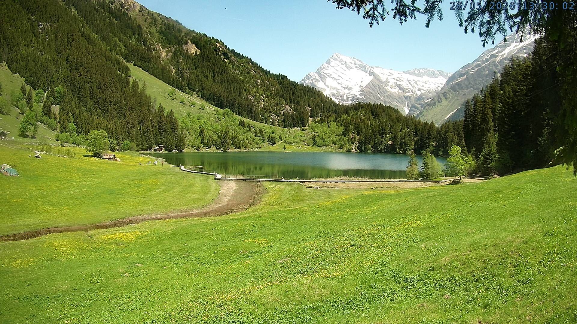 Silenen: Golzern