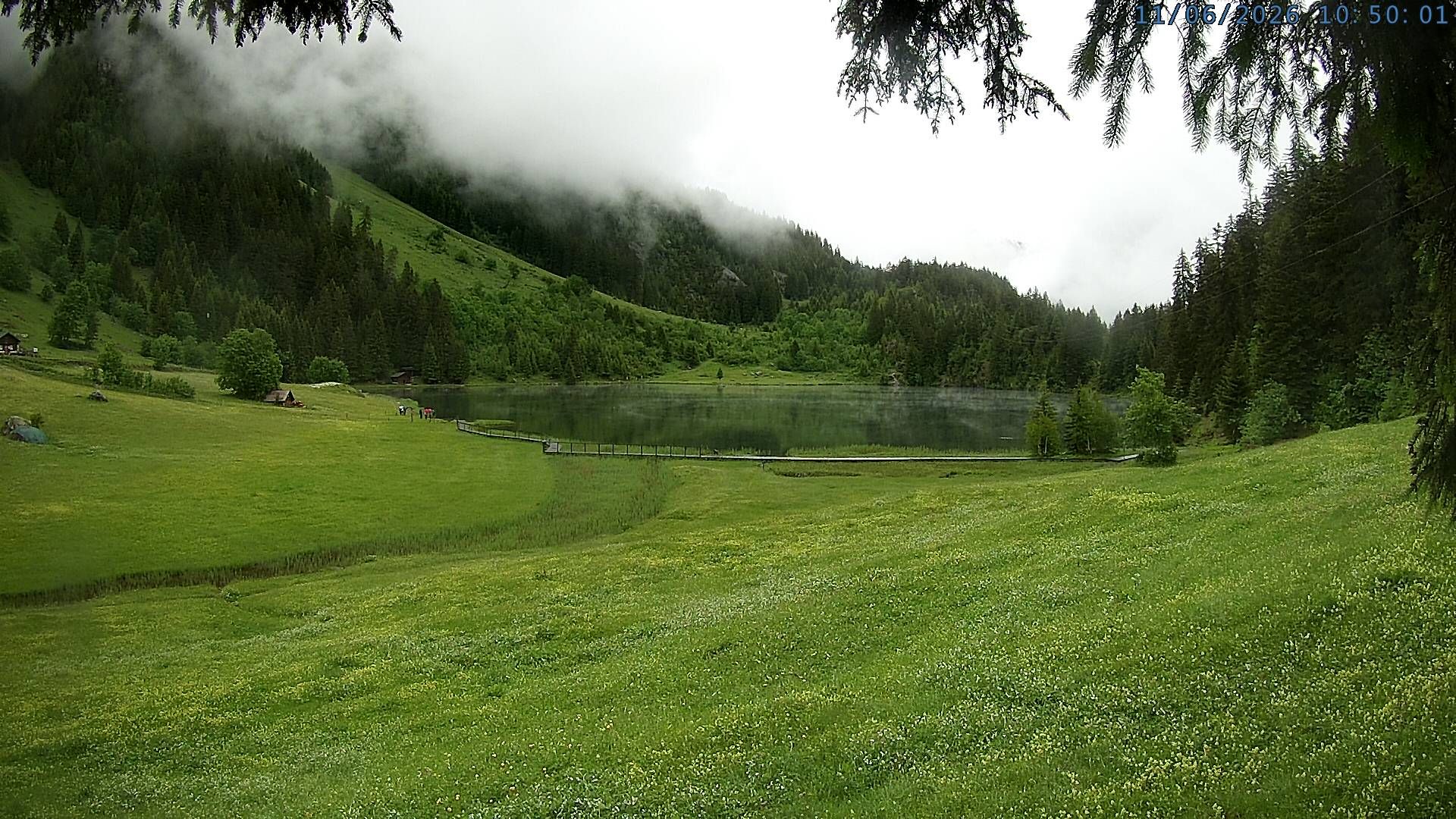 Silenen: Golzern