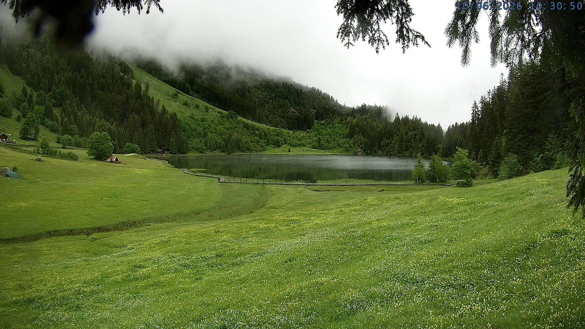 Silenen: Golzern