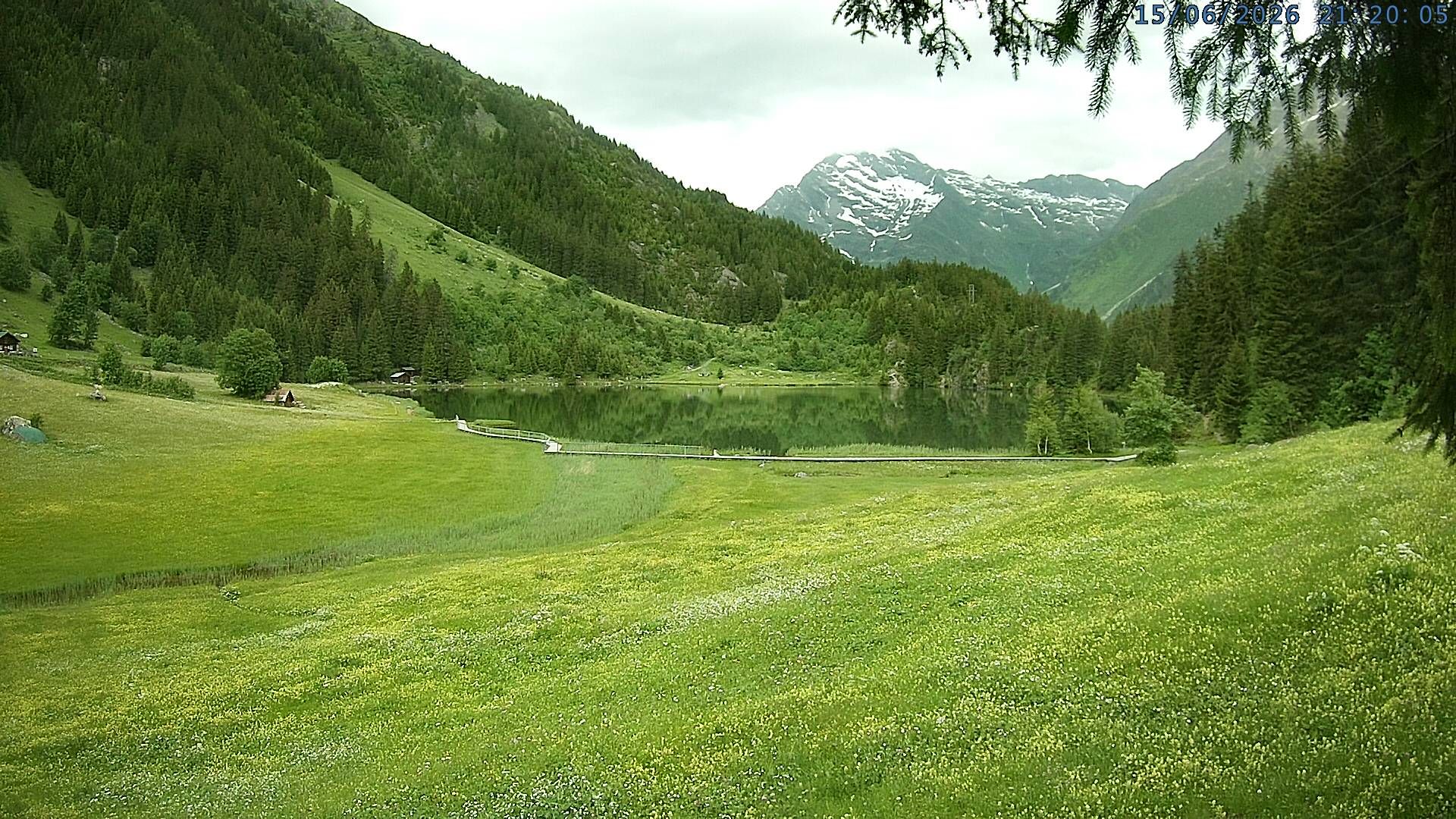 Silenen: Golzern