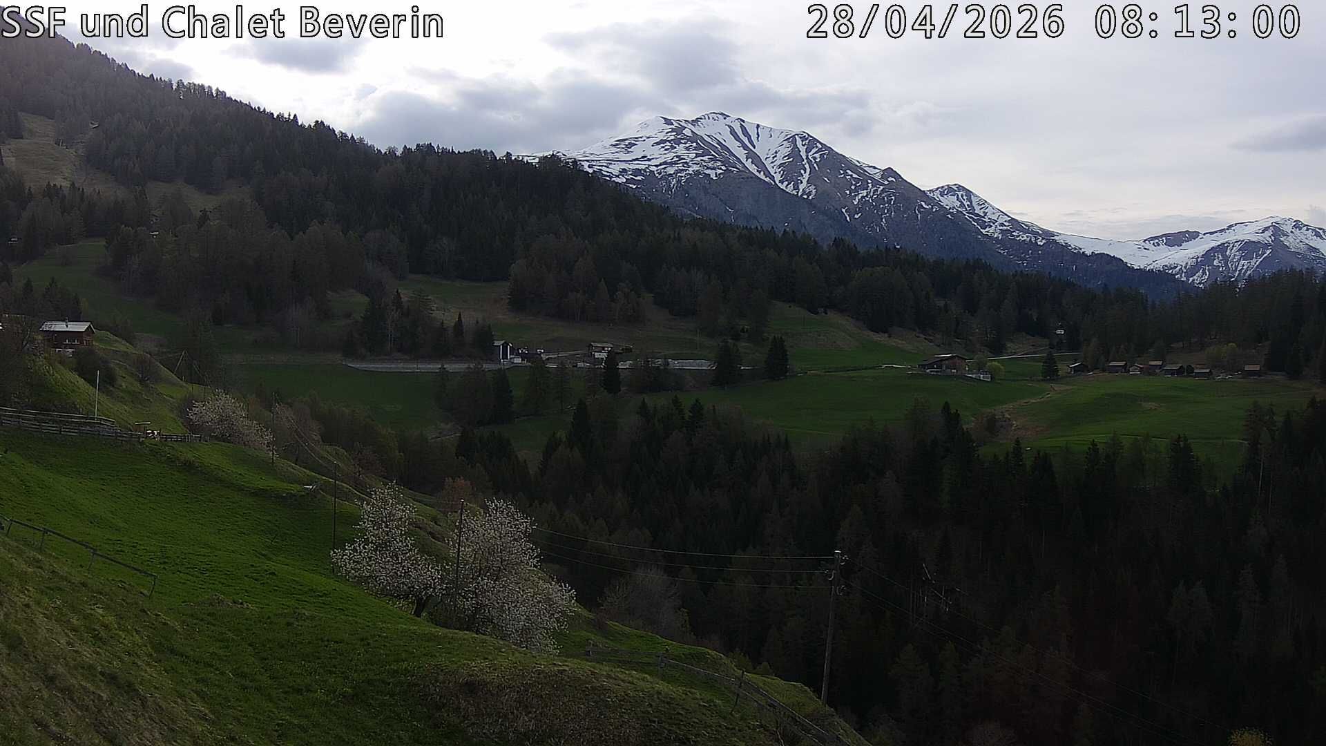 Domleschg › Südosten: Feldis - Graubünden, Schweiz: Casealas/Fulberg