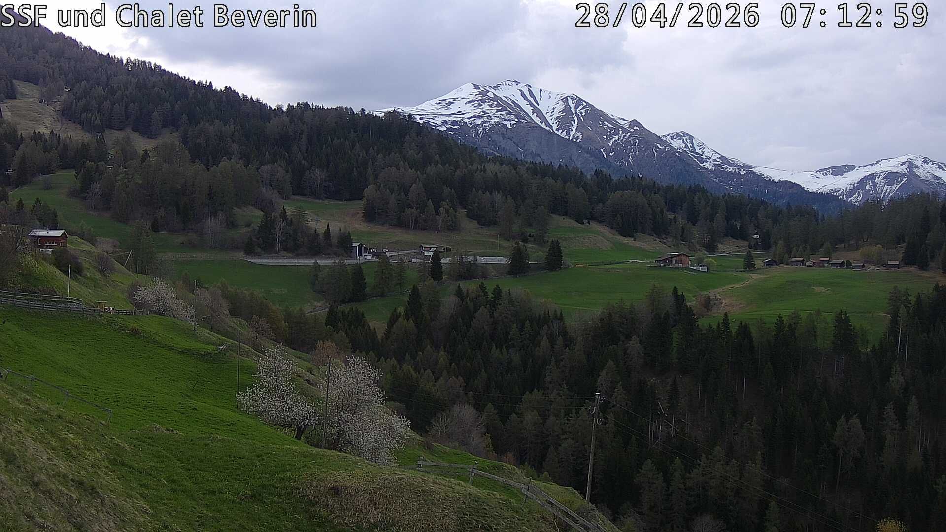 Domleschg › Südosten: Feldis - Graubünden, Schweiz: Casealas/Fulberg