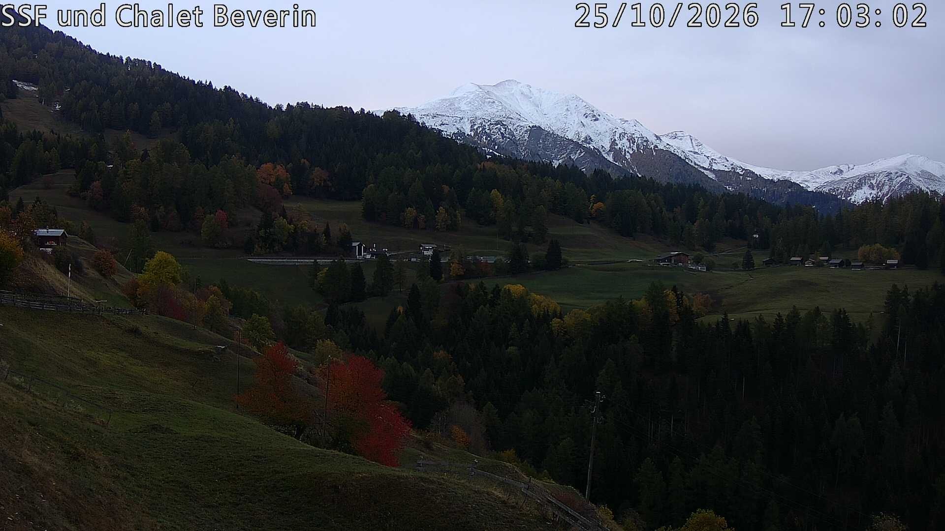 Domleschg › Südosten: Feldis - Graubünden, Schweiz: Casealas/Fulberg