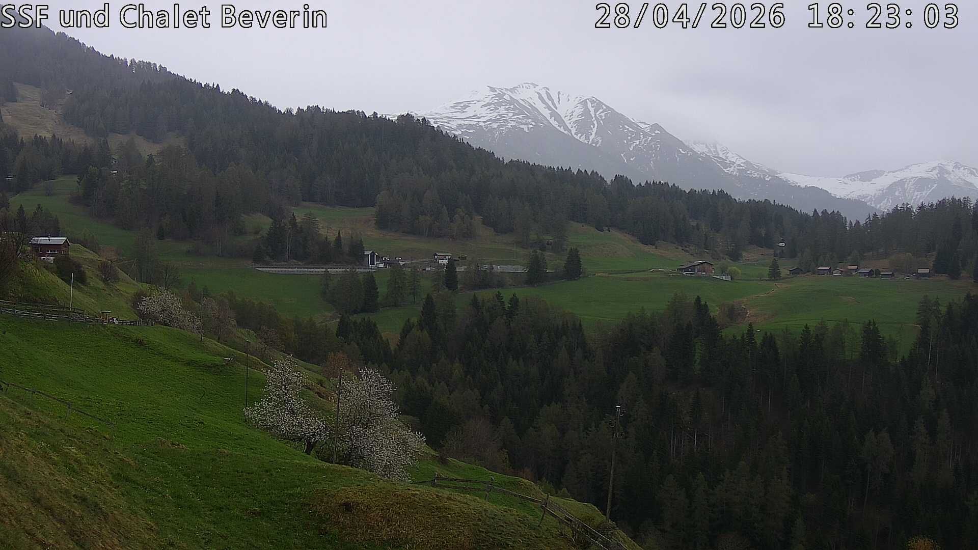 Domleschg › Südosten: Feldis - Graubünden, Schweiz: Casealas/Fulberg