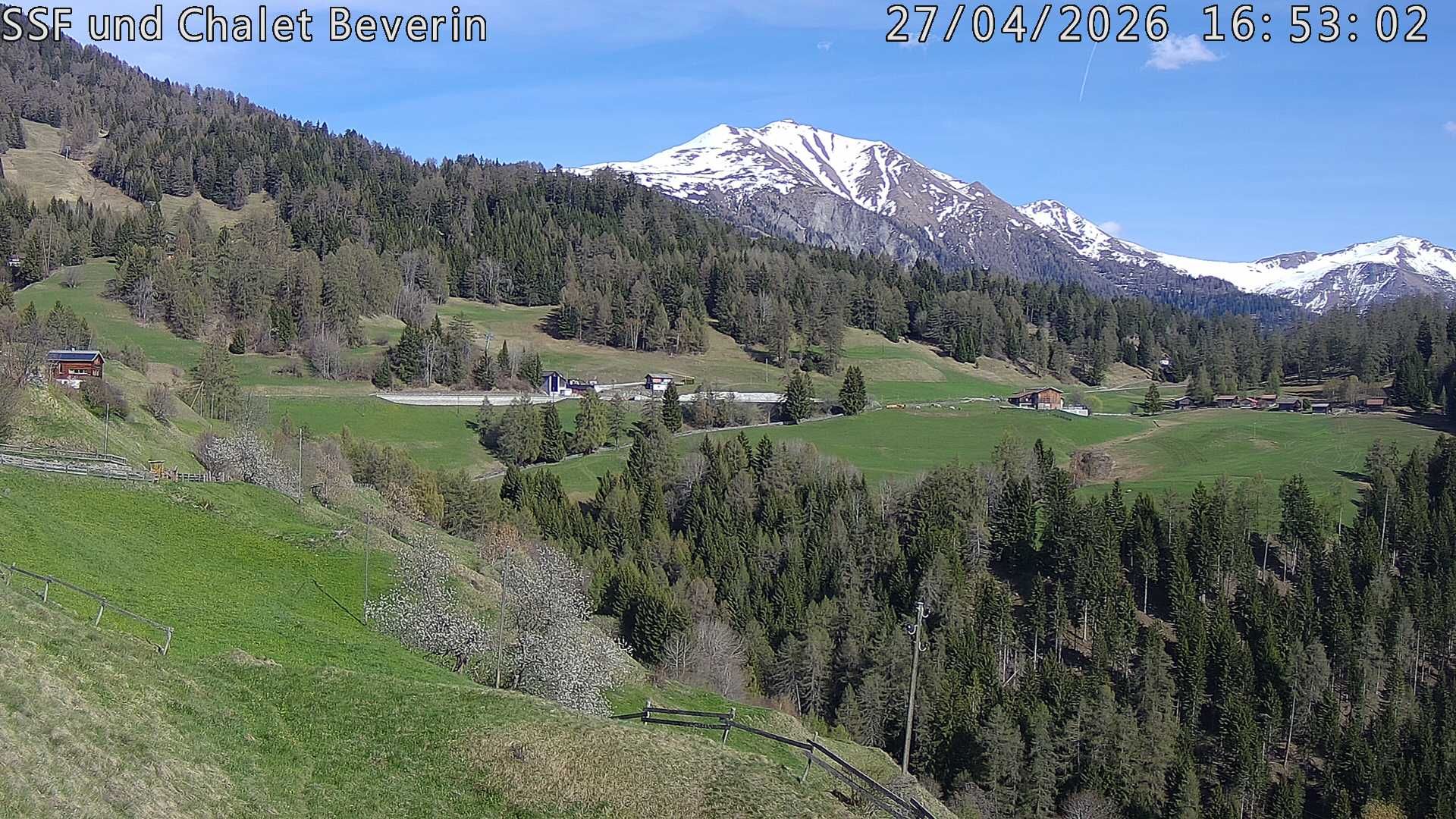 Domleschg › Südosten: Feldis - Graubünden, Schweiz: Casealas/Fulberg