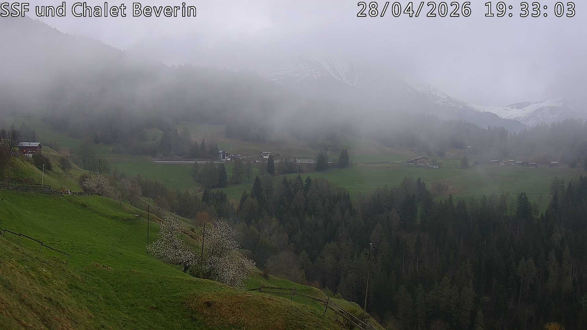 Domleschg › Südosten: Feldis - Graubünden, Schweiz: Casealas/Fulberg