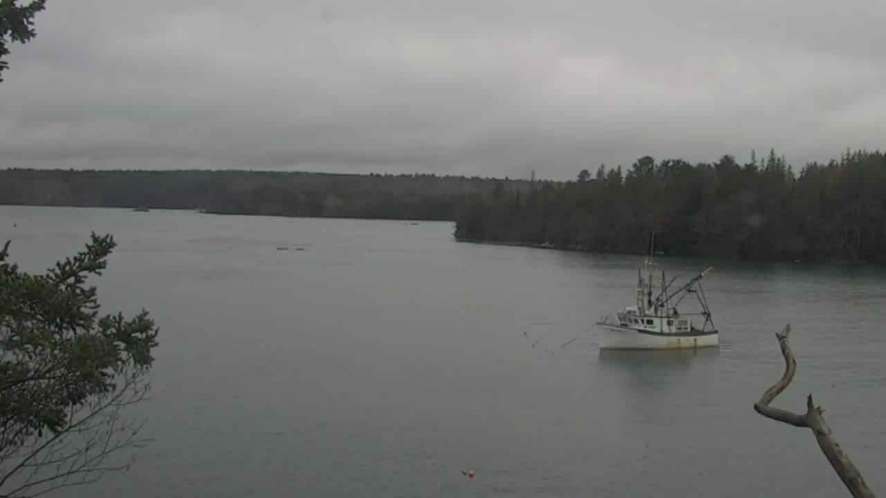 Traffic Cam Bremen: Audubon Osprey Nest