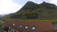 Aigle
