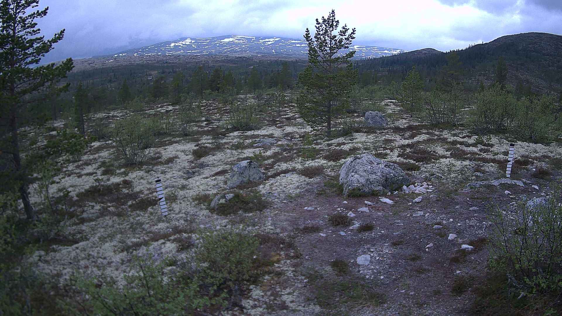 Stor-Elvdal på dagtid
