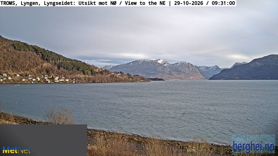 Djupvik during daytime