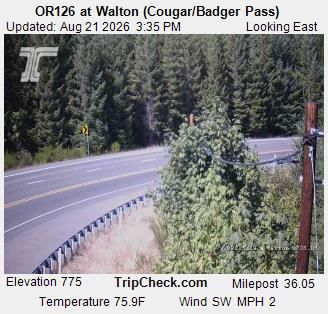 Traffic Cam Veneta: ORE126 at Walton (Cougar/Badger Pass)