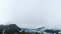 Termen: Rosswald