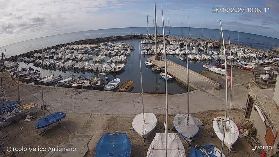 Provincia di Livorno during daytime