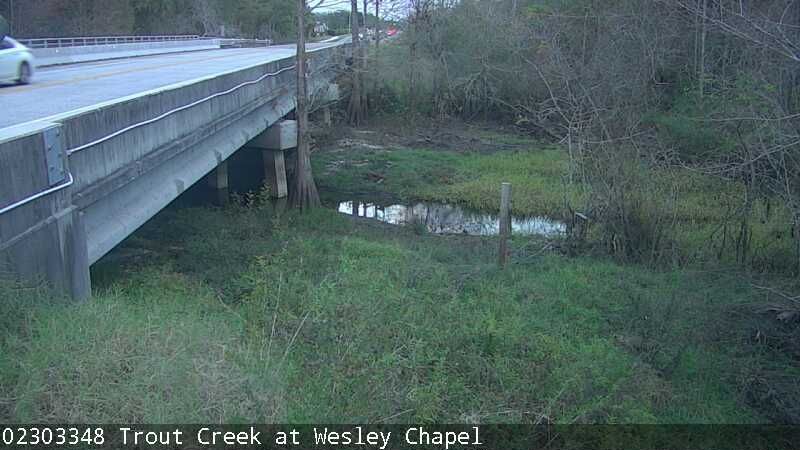 Traffic Cam Wesley Chapel: Trout Creek