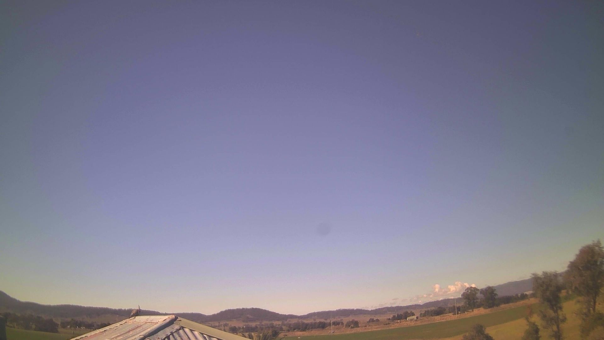 Muswellbrook during daytime