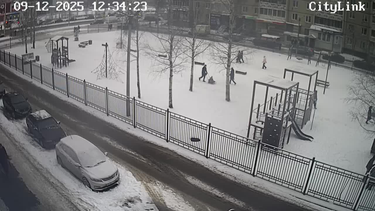 Traffic Cam Petrozavodsk