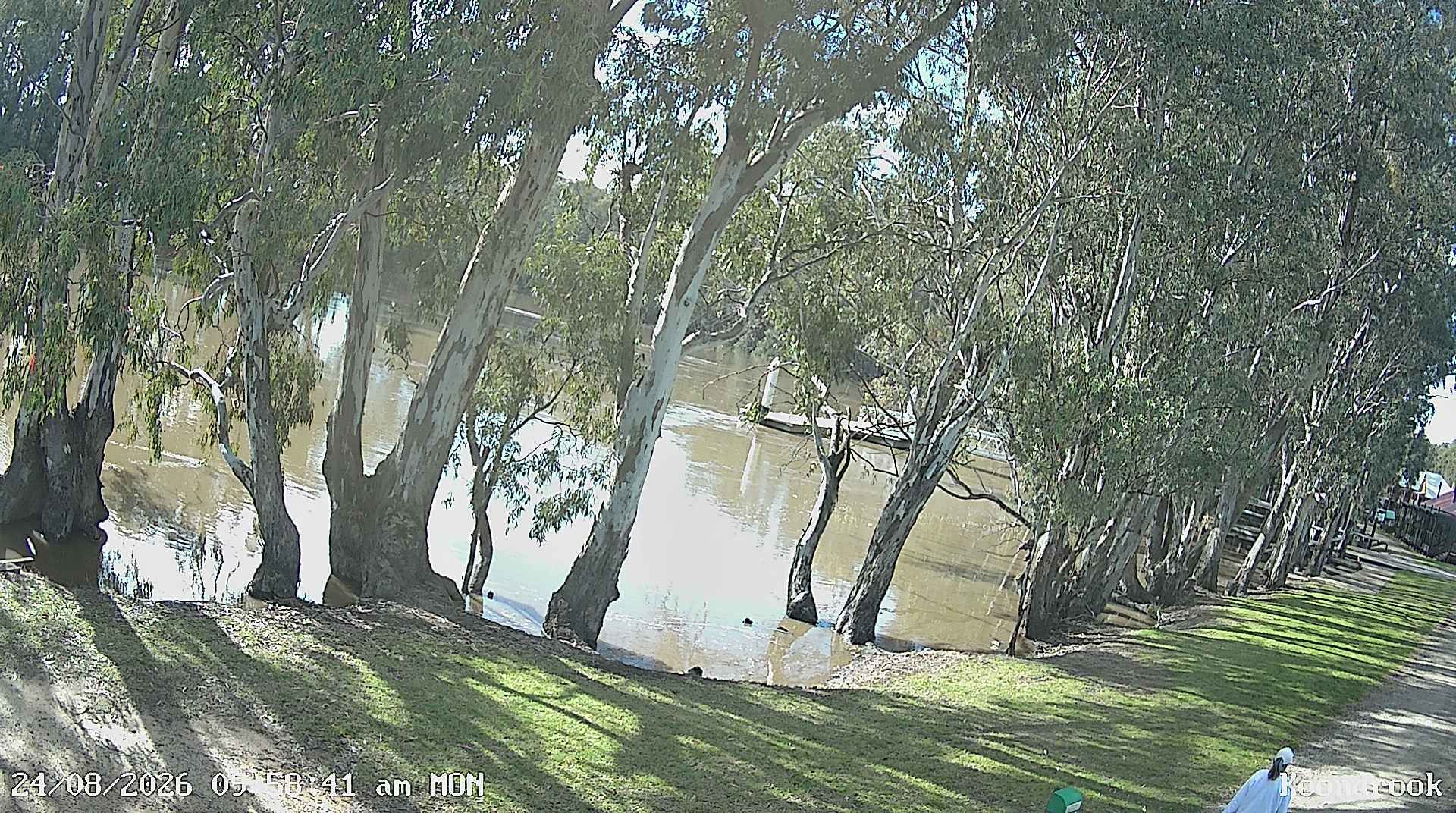 Gannawarra during daytime