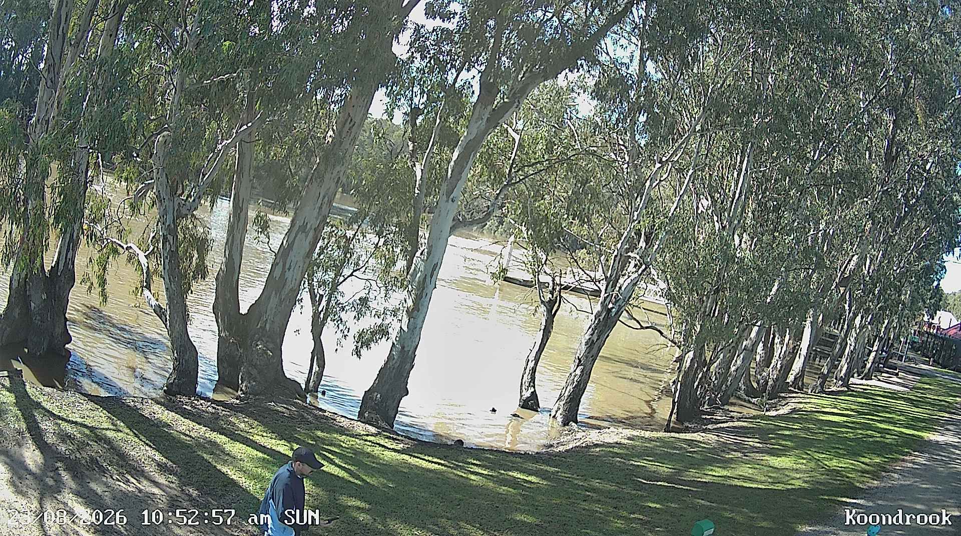 Cohuna webcam