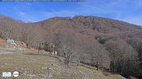 Subiaco › North-East