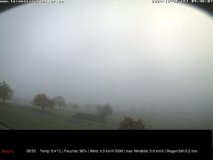 Burg im Leimental: Leimentaler Wetterstation