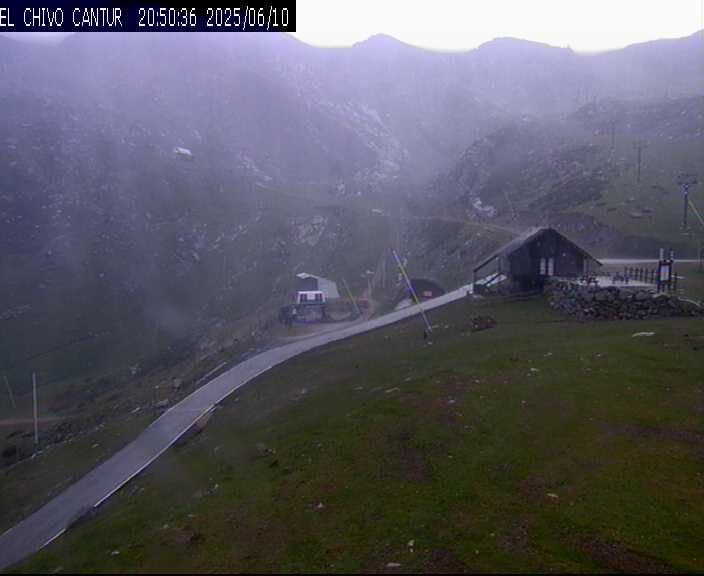 Traffic Cam Polaciones: el chivo