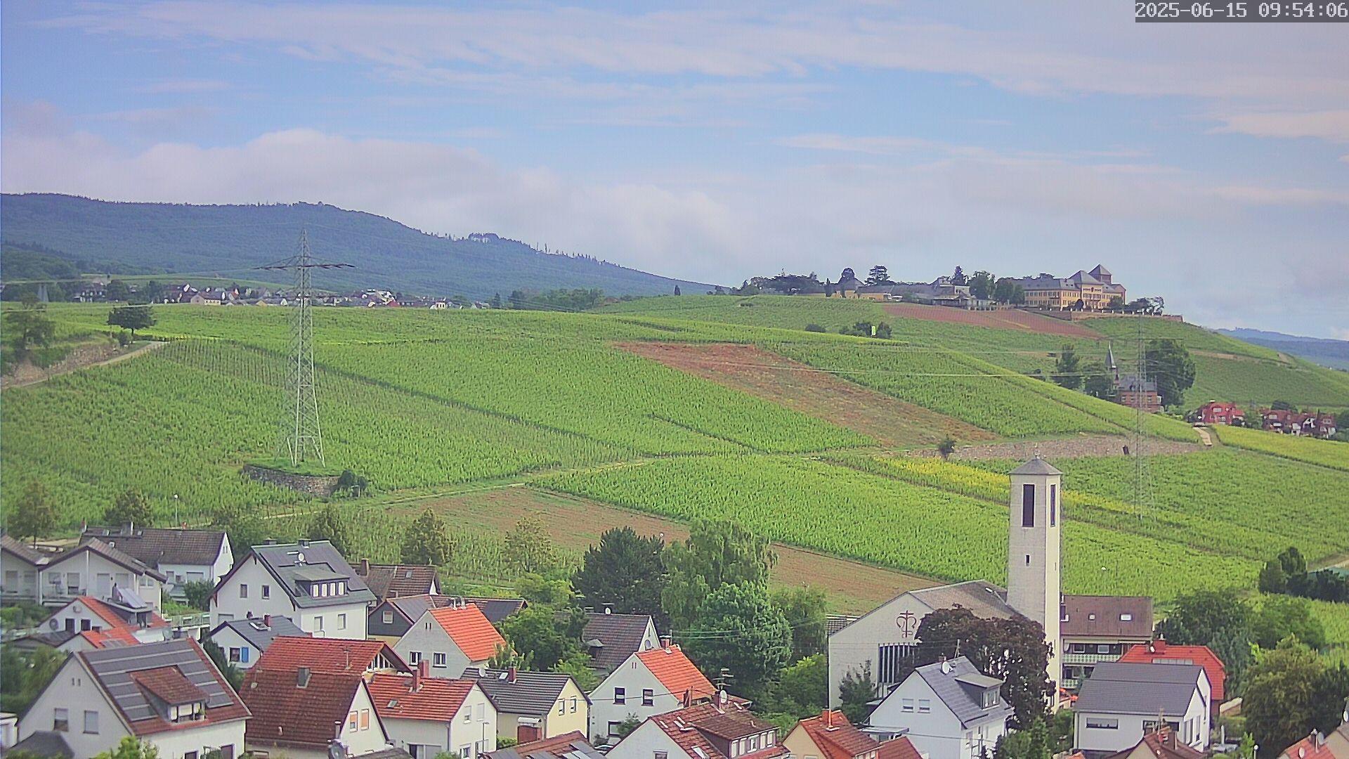 Gau Algesheim mountain Webcam