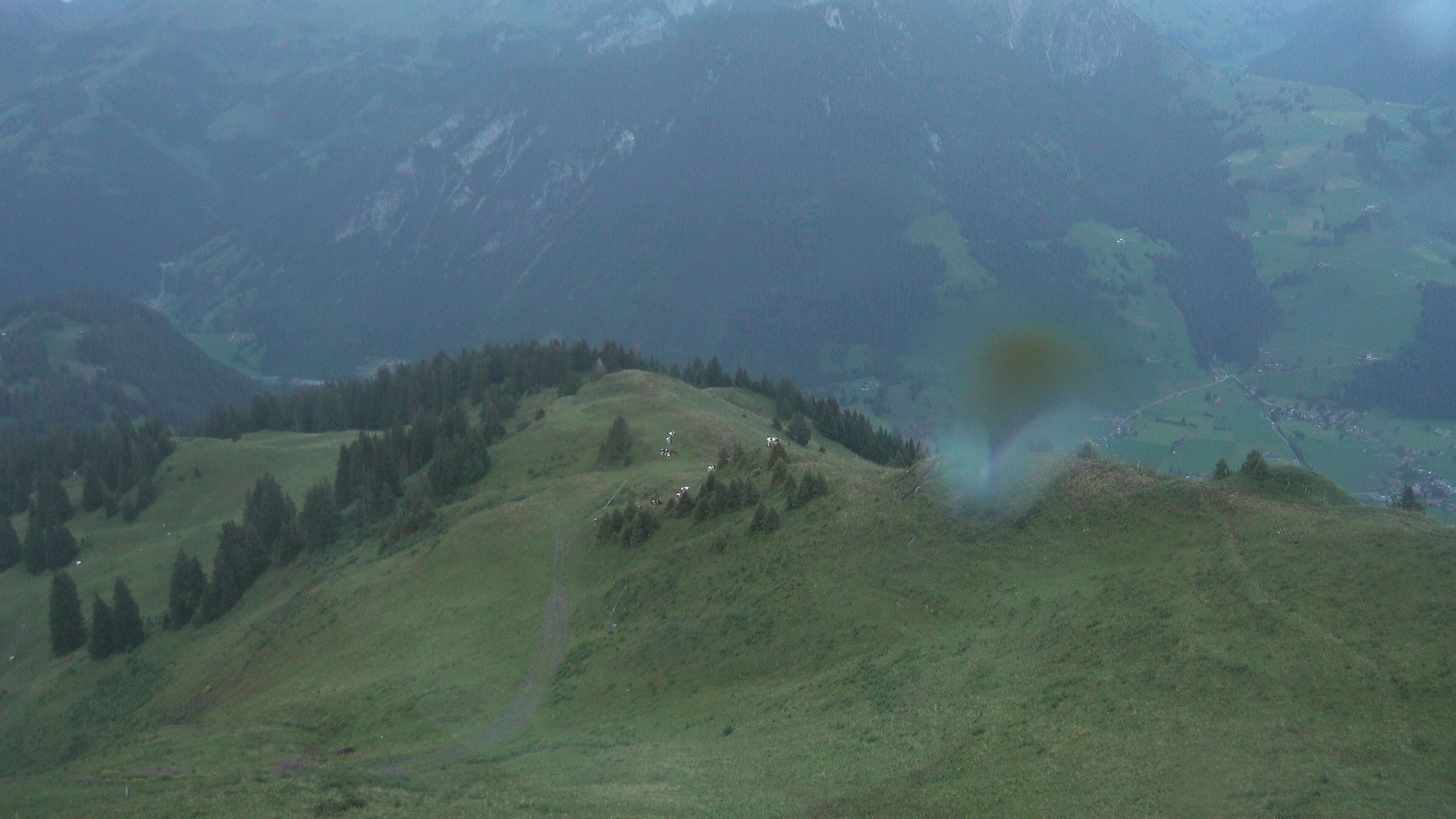 Zweisimmen: Gstaad - Rinderberg Spitz, Piste