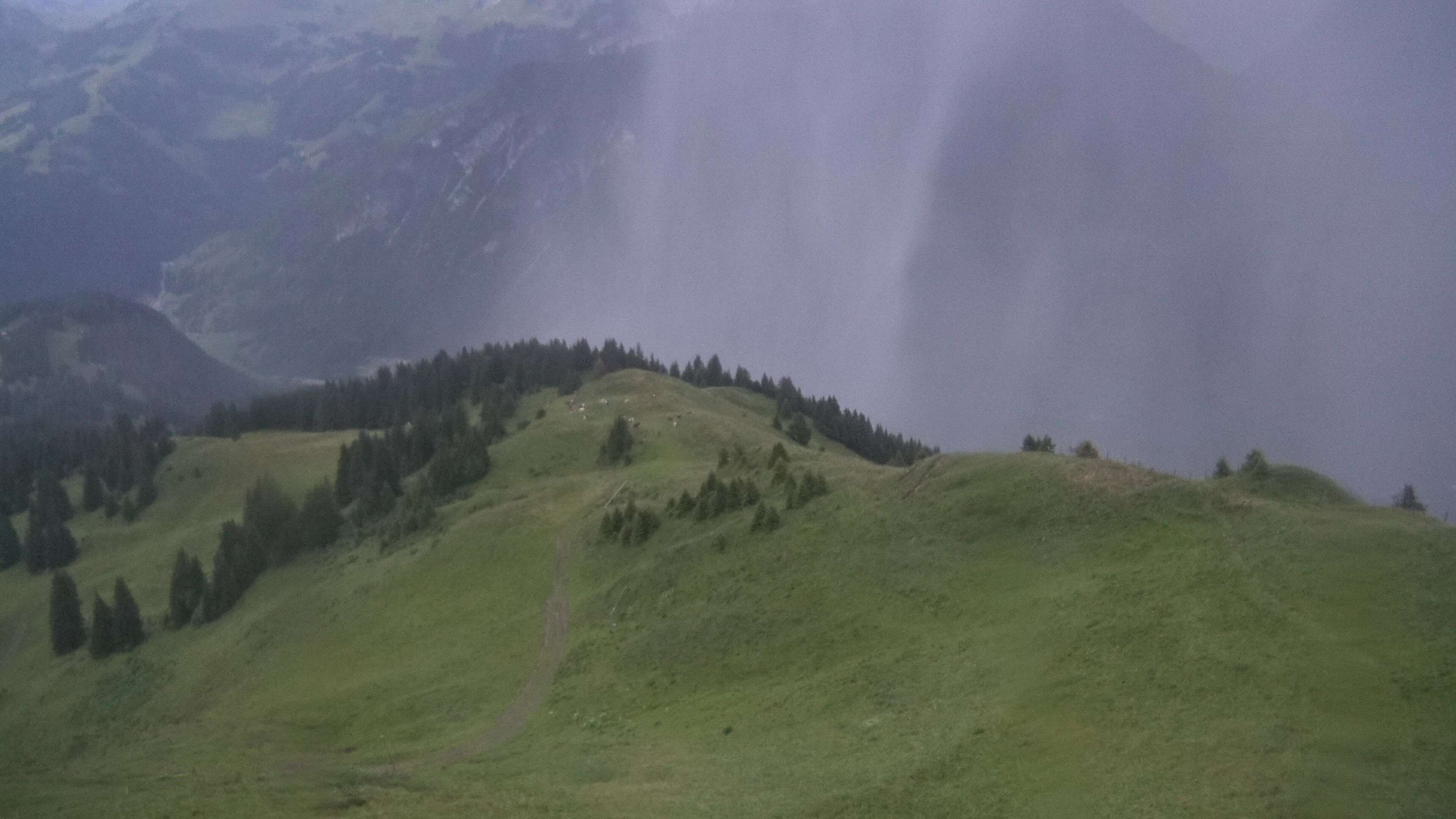 Zweisimmen: Gstaad - Rinderberg Spitz, Piste